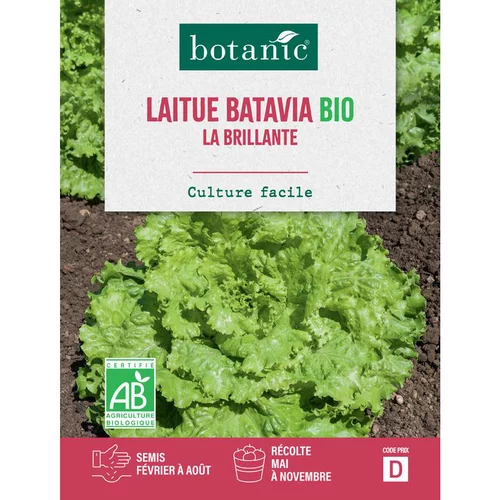 Pour mieux organiser vos extérieurs:Graines de laitue batavia la brillante bio botanic® - graines batavia semer
