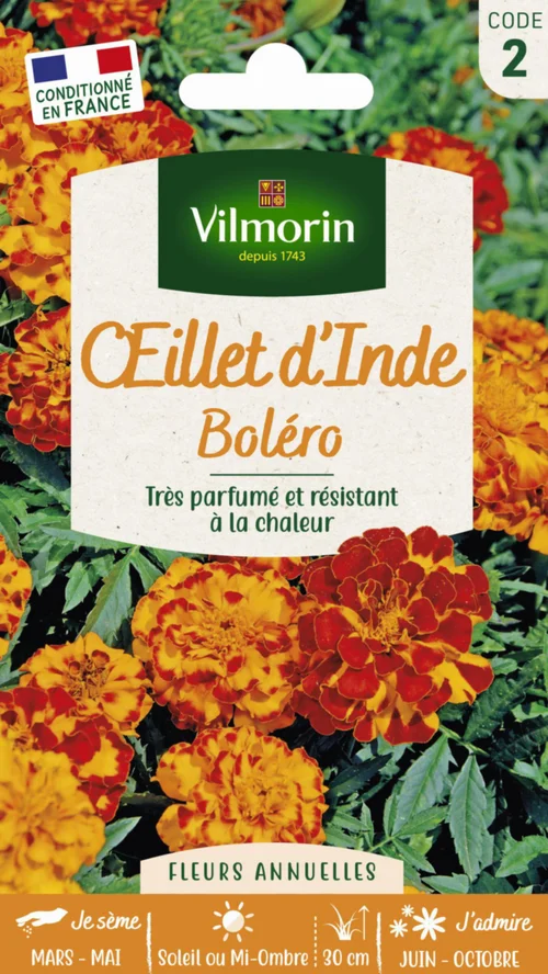 Pour vos aménagements extérieurs:Graines d’œillet d’Inde Bolero Vilmorin - graines à semer