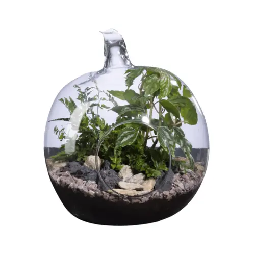 Un indispensable au jardin:Terrarium Pomme Naturalys - Ø 19 × 20 cm