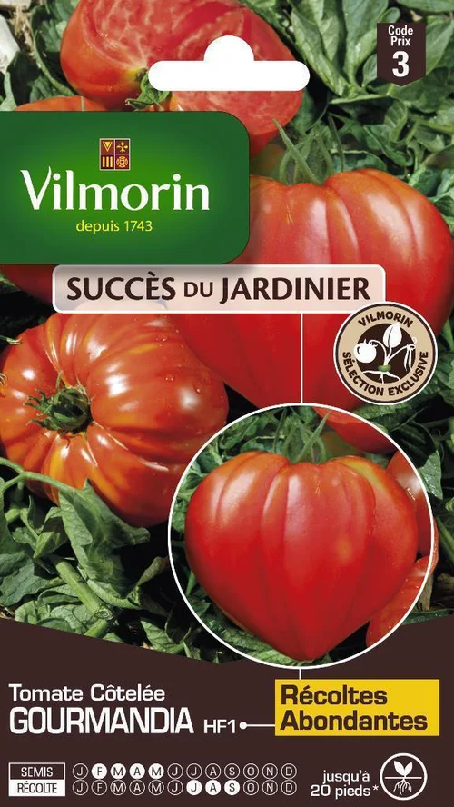 Espace vert essentiel：Tomate Côtelée Gourmandia HF1 Vilmorin - graines à semer