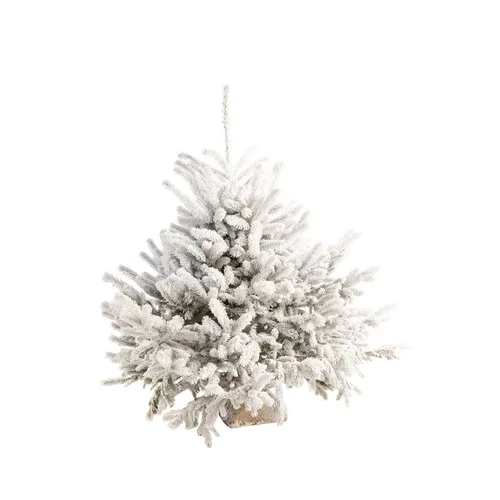 Style jardin:Sapin de Noël naturel blanc effet enneigé Glacé Robin® - 160 à 175 cm