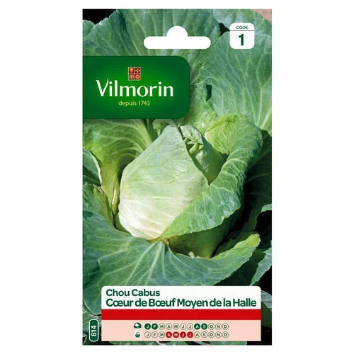 Pour simplifier vos extérieurs：Chou Cabus Cœur de Bœuf Moyen de la Halle Vilmorin - graines à semer