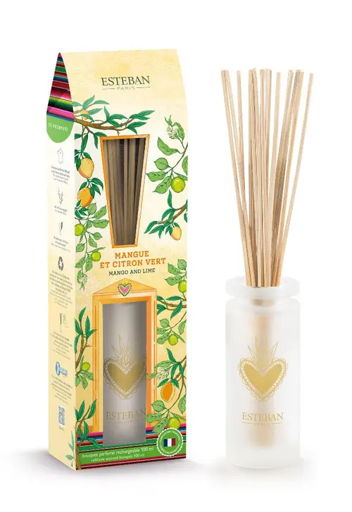 Simple dehors：Bouquet parfumé avec sa recharge senteur mangue et citron vert Esteban - 100 ml