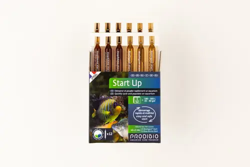 Pour vos espaces:Boîte d'ampoules Prodibio Start'Up - x 12