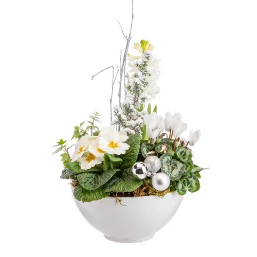 Pour mieux équiper votre jardin：Composition florale jacinthe et primula cyclamen coupe coloris blanc