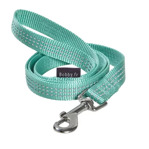 Pour profiter dehors:Laisse Safe 25 mm lagon