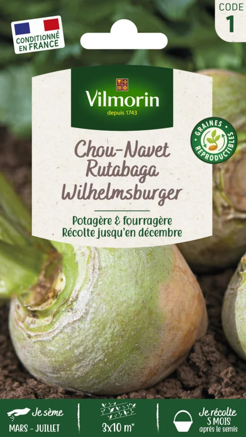 Jardin idée:Chou Navet Rutabaga jaune à collet vert Vilmorin - graines à semer