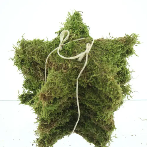 Jardin confort plus:Étoile en mousse coloris vert – Ø 25 cm