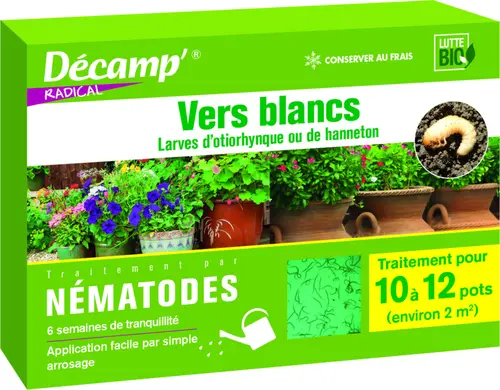 Nature facile：Nématodes contre vers blancs 10 plantes