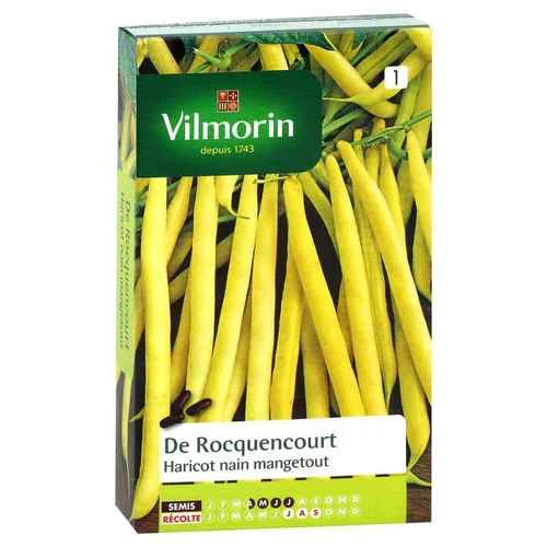 Tout pour le jardin:Haricot nain mangetout de Rocquencourt Vilmorin - graines à semer