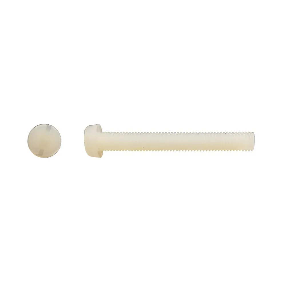 200 Vis Métaux Tête Cylindrique Fendue 6 × 30 mm | DIN 84 – Polyamide – D – Work