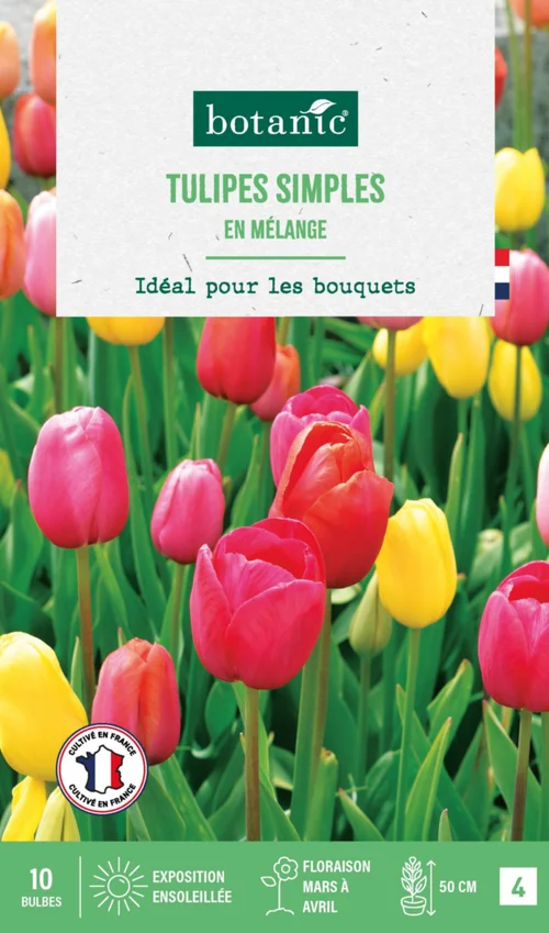 Pour un jardin plus pratique：Tulipe en mélange botanic® - 10 bulbes