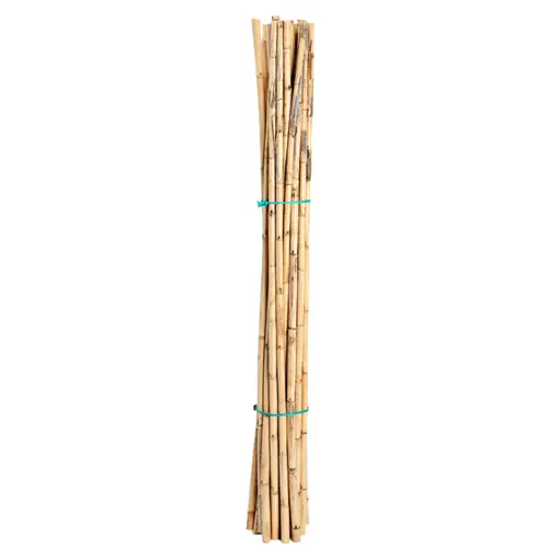 Choix pour le jardin:Tuteurs tomates 180 cm