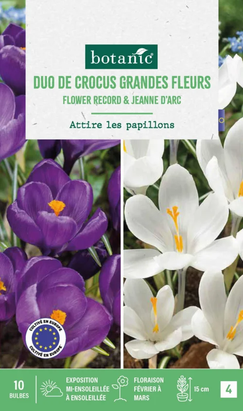 Pour un jardin plus pratique:Crocus en mélange coloris violet et blanc botanic® - 10 bulbes