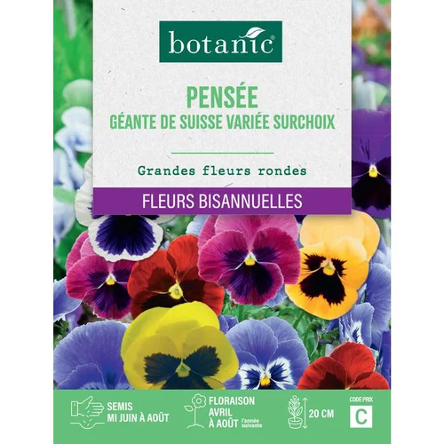 Pour votre confort en extérieur:Graines de fleurs de Pensée géante de Suisse variée surchoix botanic®