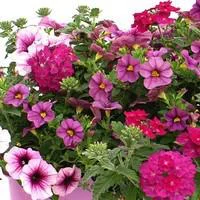 Pour un extérieur bien équipé:Jardinière de balcon terrasse - La jardinière de 50 cm