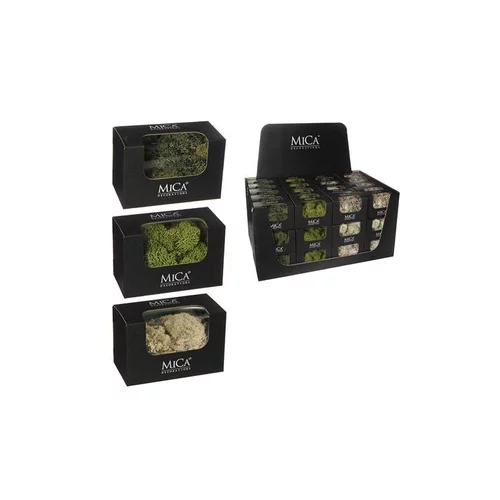 Esprit végétal：Lichen artificiel en boite de 50 g beige ou vert 14,5x8x9,5 cm