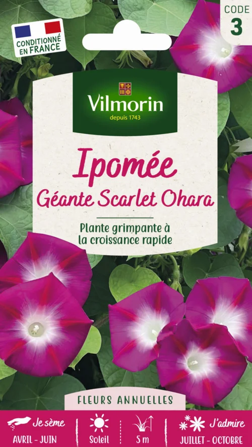 Jardin et déco:Ipomée Géante Scarlet Ohara Vilmorin - graines à semer