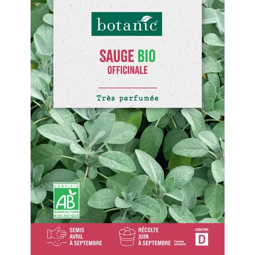 Pour transformer votre jardin：Graines de sauge officinale bio botanic® - graines à semer