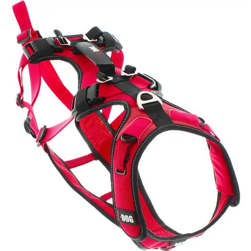Bien pensé extérieur：Harnais pour chien coloris rouge I-Dog Confort Trek - Taille XL