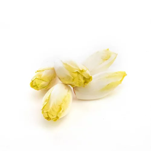 Pour plus de confort au jardin:Endive bio de France - Prix au kg