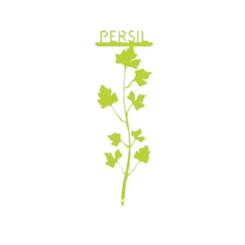 Pour votre extérieur：Étiquette persil petit modèle vert anis H22,6 cm