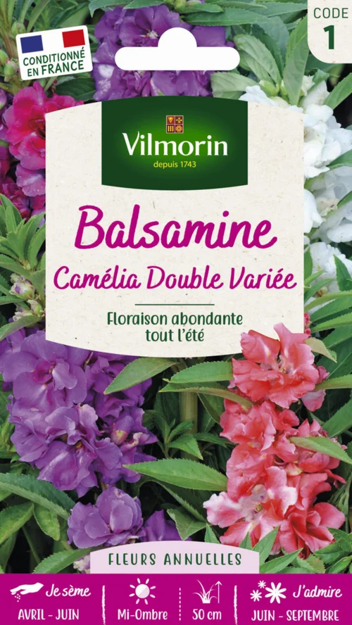 Sélection extérieure：Graines de Balsamine Camélia double variée Vilmorin - graines à semer
