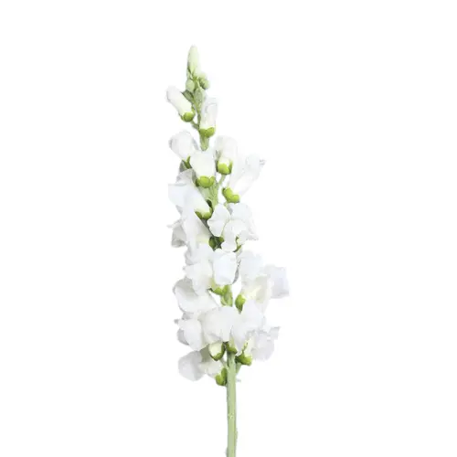 Pour plus de confort à l’extérieur:Gueule de loup artificielle blanche - 81 cm