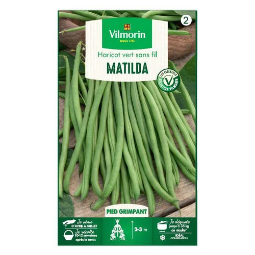 Fonctionnel au jardin：Graines de Haricot vert grimpant Matilda Vilmorin - graines à semer