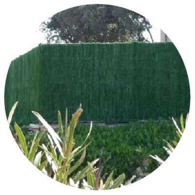 Haie artificielle 126 brins vert thuyas en rouleau Supra (Lot de 6) (1.5 x 3 m)