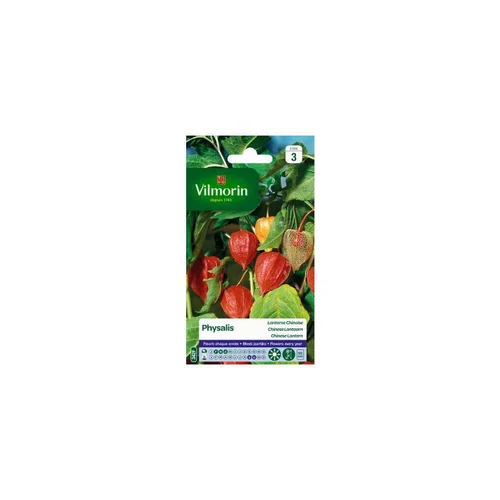 Le bon choix pour le jardin：Graines de Physalis Lanterne chinoise Vilmorin - graines à semer