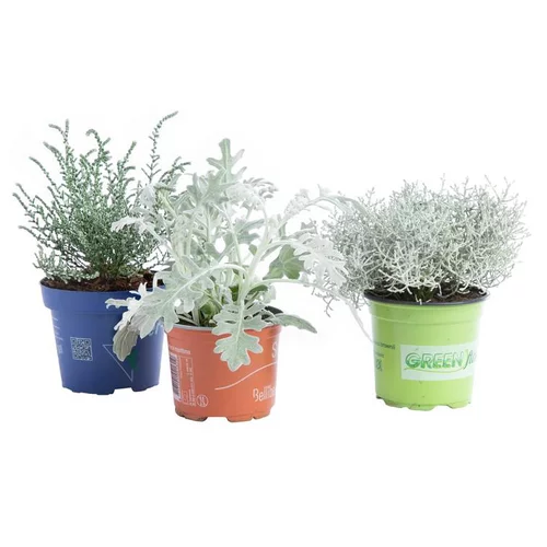 Espace vert confort：Stone Land Mix - Le pot de 1 litre