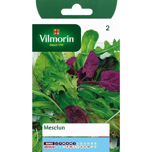 Une solution adaptée à l’extérieur：Graines de mesclun Vilmorin - graines à semer
