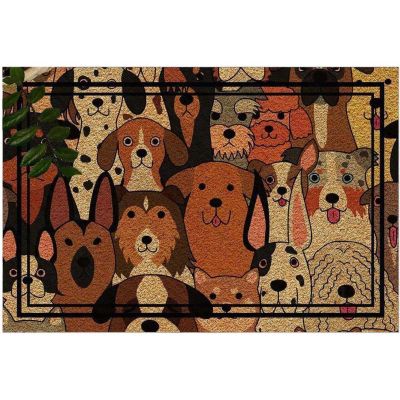 Paillasson en PVC 40 x 60 cm Door (Cane Carıno)