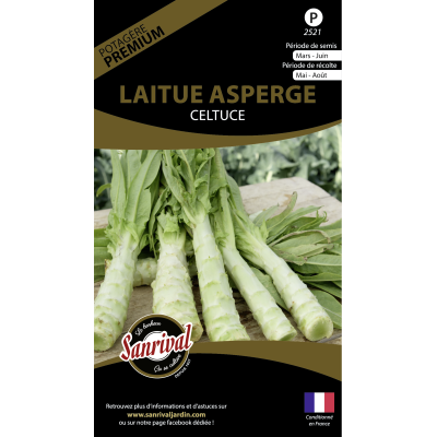 Graines potagères premium laitue (Asperge)
