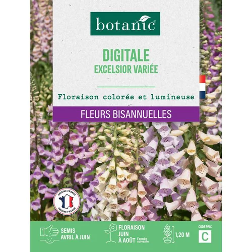 Simple pour le jardin：Graines de fleurs de Digitale excelsior variée botanic®