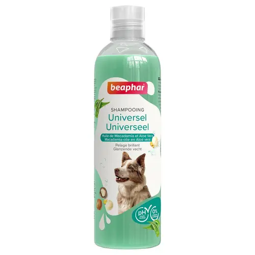 Extérieur adapté：Shampooing universel Beaphar - 250 ml