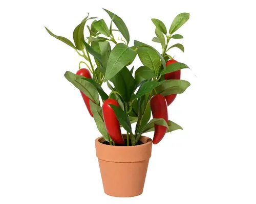 Au quotidien：Plante artificielle piment rouge en pot - Ø 18 x H 25 cm