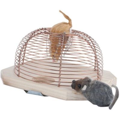 Piège à souris vivantes