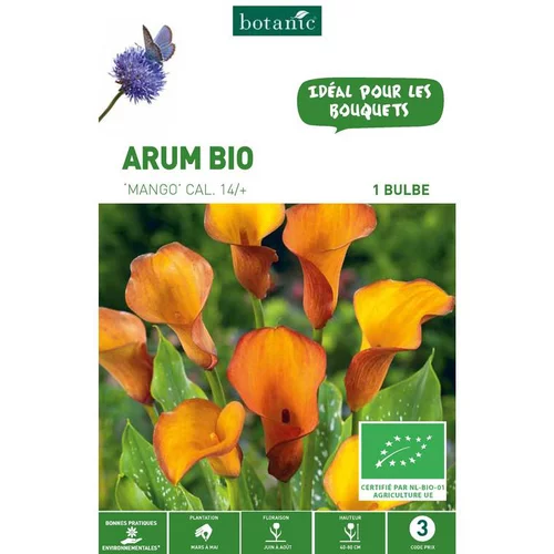 Pratique jardin:Arum Mango bio orange botanic® - 1 bulbe