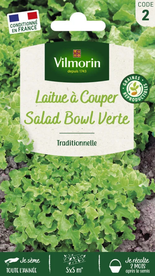 Adapté à l’extérieur:Laitue à couper Salad Bowl Verte Vilmorin - graines à semer
