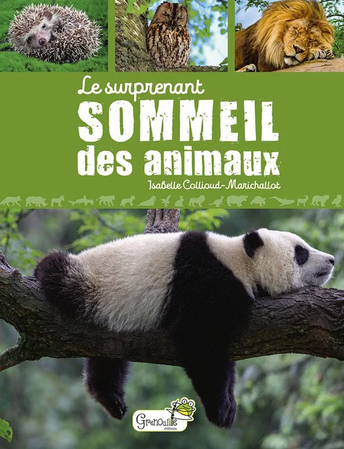 Sélection pratique：Livre "Le surprenant sommeil des animaux" Artemis