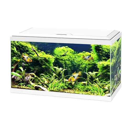 Au service de votre jardin：Aquarium équipé Aqua 60 blanc - 54L