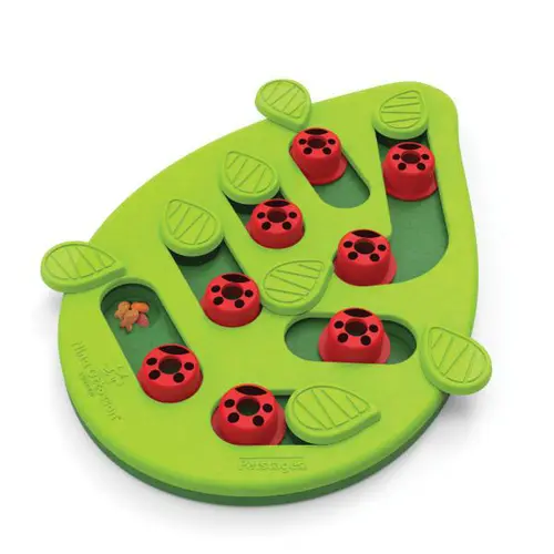 Pour tous les jours:Jeu d'intelligence pour chat coloris vert Nina Ottosson Buggin'out - 37 x 24,5 x 3,2 cm