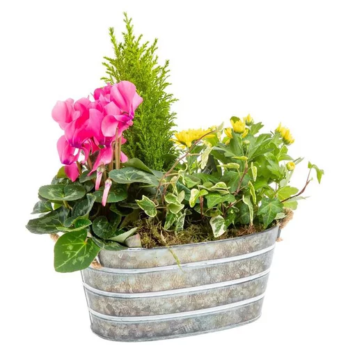 Pratique pour l’extérieur:Composition de Noël d'extérieur Zinc - Jardinière 25 cm