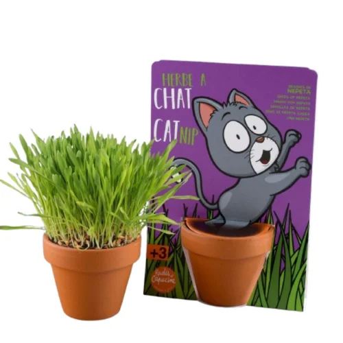 Au quotidien：Kit de plantation herbe à chat carte nature chat Radis et Capucine