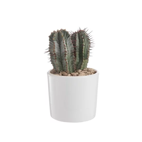 Une idée maline pour l’extérieur:Euphorbia en pot blanc émaillé H 10 x Ø 10 cm