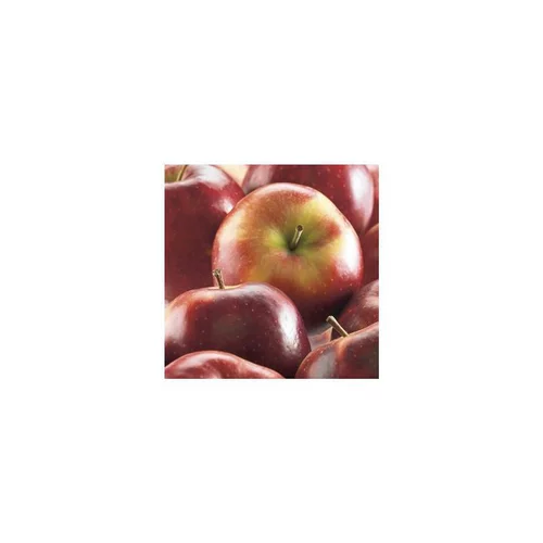 Jardin confort：Pommier Delbard Celeste® Deltana. En racine nue, forme gobelet