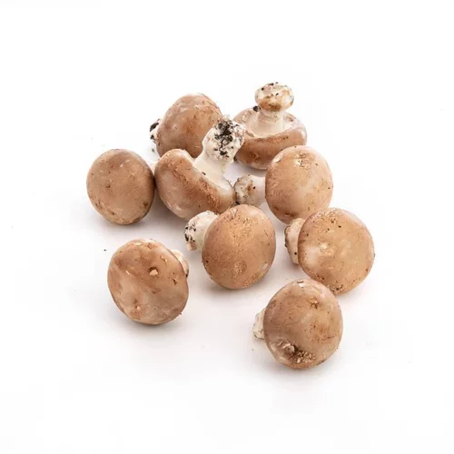 Nature jardin:Champignons de Paris bruns biologiques - prix au kg