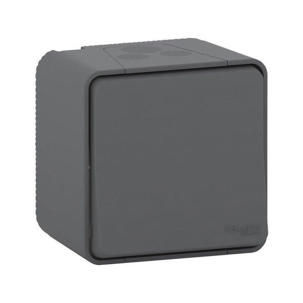 Schneider Electric Interrupteur va-et-vient étanche complet, Mureva, gris anthracite